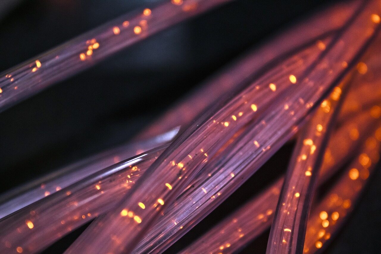 network cable
